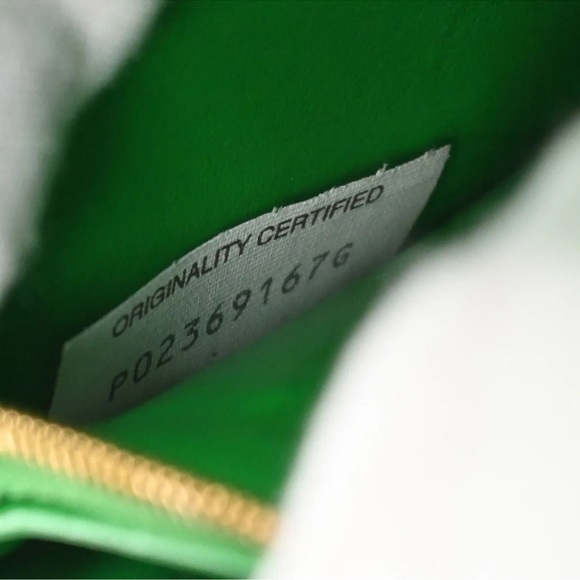 BOTTEGA VENETA CASSETTE ZIP AROUND WALLET PARAKEET - Picture 12 of 14